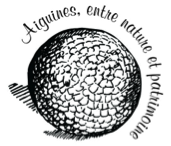 Bouloe Logo